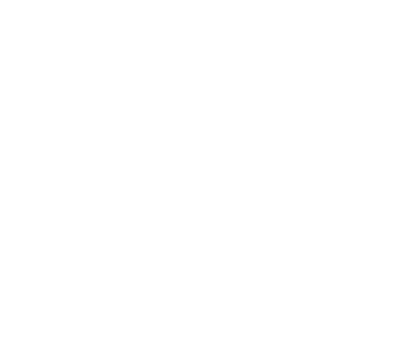 objective heart